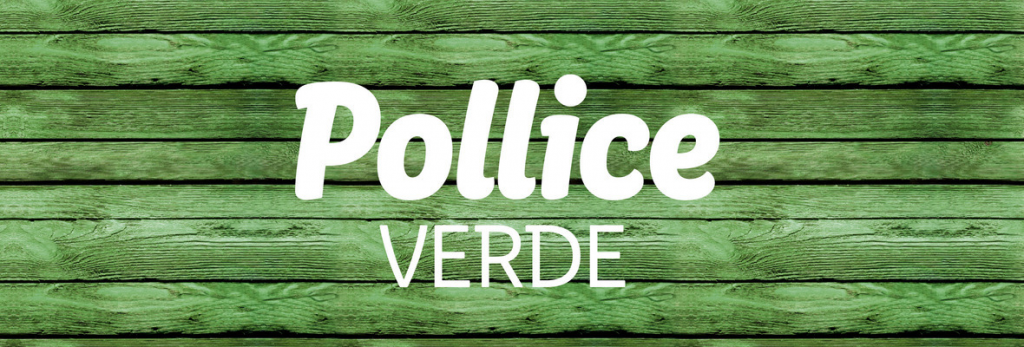 Offerte Lidl Pollice verde dal 13 marzo