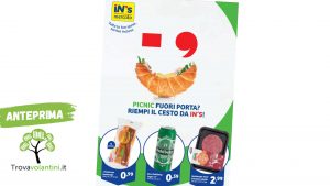 volantino-ins