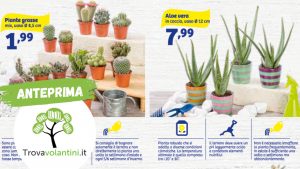 offerte-ins-pollice-verde-dal-10-al-21-maggio