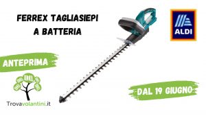 Volantino-expert-dg-group-1-1