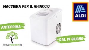 Volantino-expert-dg-group-1