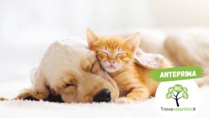offerte-cani-gatti-lidl-dal-26-giugno-al-2-luglio