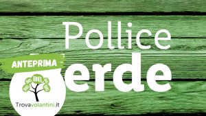offerte-lidl-pollice-verde-12-18-giugno