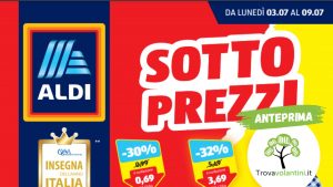 volantino-aldi-dal-3-al-9-luglio