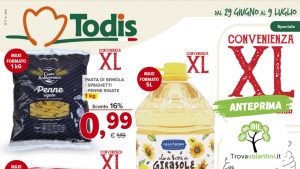 volantino-todis-29-giugno-9-luglio