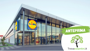 Volantino expert dg group (1)