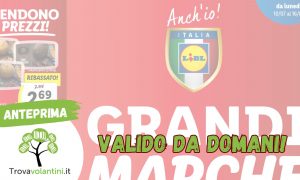 anteprima-parziale-volantino-lidl-dal-10-luglio-2023