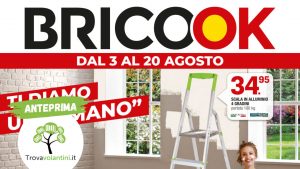 volantino-brico-ok-3-20-agosto