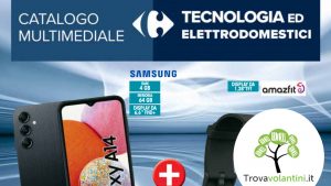 volantino-carrefour-speciale-29-giugno-19-luglio