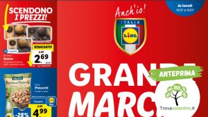 volantino-lidl-dal-10-al-16-luglio
