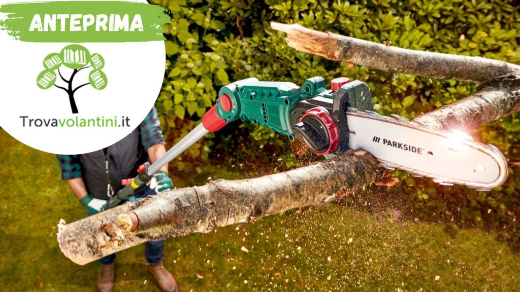 spiare comando piuttosto motosega elettrica a batteria parkside