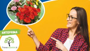 offerte-pollice-verde-lidl-dal-25-al-27-agosto