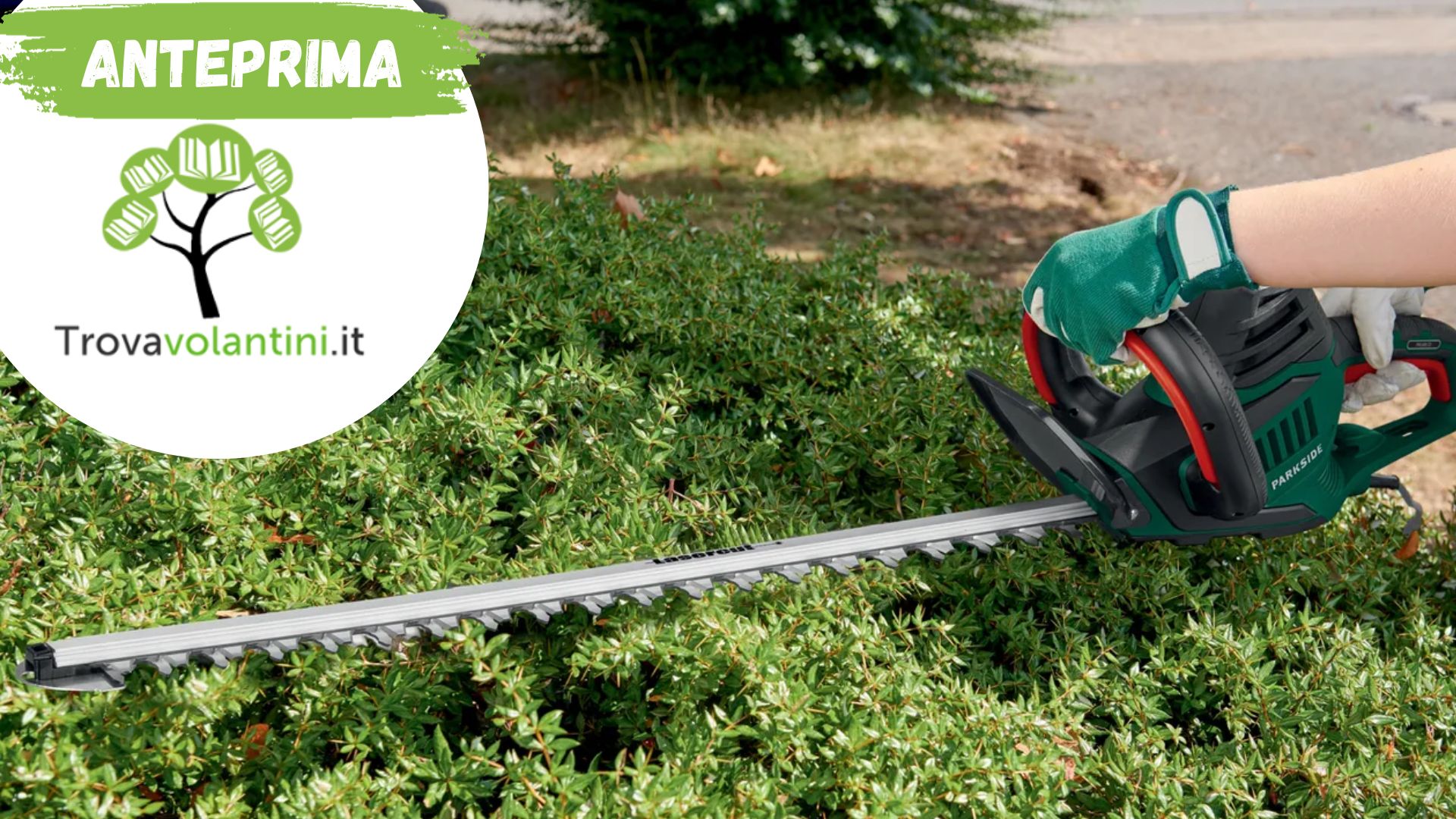 Tagliasiepi Elettrico Lidl Parkside: Taglio Preciso e Sicurezza