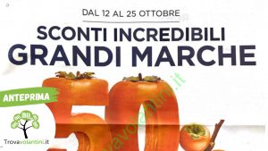 Anteprima senza scritta