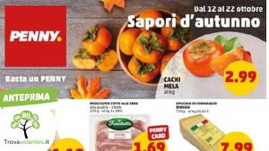 Anteprima senza scritta