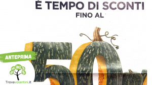 Anteprima senza scritta