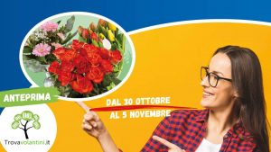 offerte-pollice-verde-lidl-dal-28-ottobre
