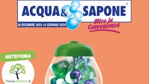 volantino-acqua-e-sapone-toscana-28-dicembre-14-gennaio