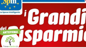 Anteprima senza scritta (1)