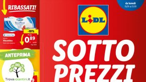 volantino-lidl-15-gennaio-1