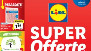 volantino-lidl-22-gennaio