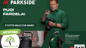 Anteprima senza scritta (1)