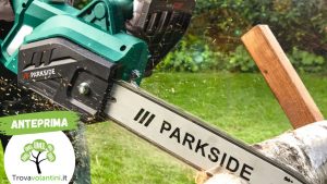 Anteprima senza scritta (2)