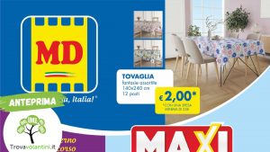 Anteprima senza scritta (4)