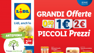Volantino-Lidl-dal-3-al-9-giugno-2024