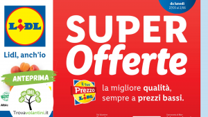 volantino-lidl-dal-27-maggio-al-2-giugno-trovavolantini