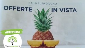 Anteprima senza scritta