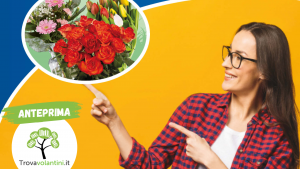 Offerte-pollice-verde-lidl-dal-10-giugno