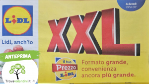 volantino-lidl-dal-1-luglio-al-7-luglio