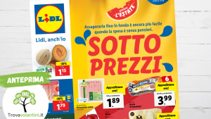 volantino lidl dal 5 agosto
