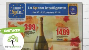 Anteprima senza scritta