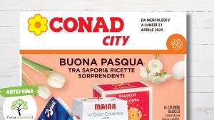 Anteprima senza scritta (19)