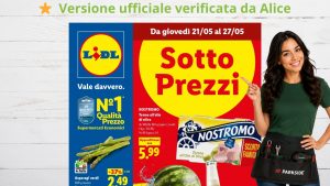 NEW Anteprima senza scritta (71)