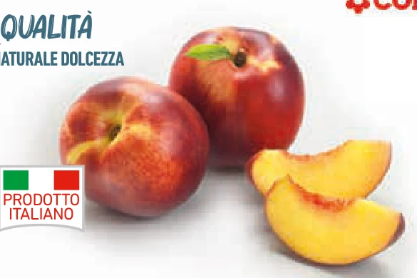 Nettarine gialle Conad Percorso Qualità in offerta da Conad Lazio