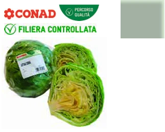 Lattuga iceberg Conad Percorso Qualità in offerta da Conad Lazio