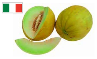Meloni gialli  in offerta da Conad Lazio
