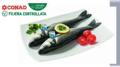 Branzino Conad Percorso Qualità in offerta da Conad Lazio